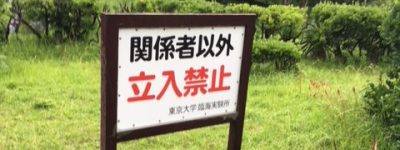 真円真珠発祥の地＞東京大学へ突撃